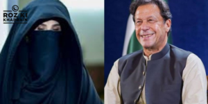 Bushra Bibi, Lahore High Court, undisclosed cases, political targeting, Imran Khan.