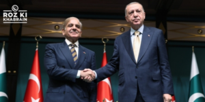 PM Shehbaz, Erdogan meeting, trade and security cooperation, Pakistan-Turkey relations, Gaza ceasefire, economic investment