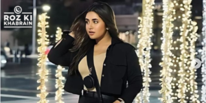 Manahil Malik, viral video, TikTok star, controversy, trolling