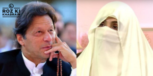 Bushra Bibi, PTI, resignations, harsh language, leadership crisis