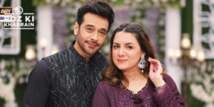 Faysal Quraishi, Sana Faysal, viral video, lip-sync comedy, celebrity couple