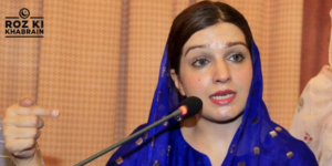 Mushaal Malik, Pakistan-China ties, Kashmir issue, fraternal relationship, law and order