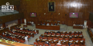 Supreme Court, judges increase, Senate committee, Pakistan, legislation