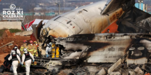 Muan International Airport, Jeju Air, plane crash, South Korea, bird strike