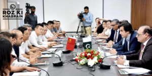 Chinese business delegation, investment opportunities, Sindh, renewable energy, livestock