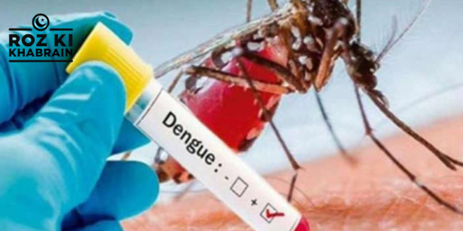 Dengue surveillance, travel history, field staff monitoring, health department, KHANEWAL