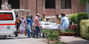 Bahawalpur tragedy, family deaths, murder investigation, forensic analysis, human remains.