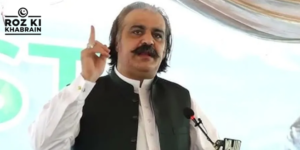 Ali Amin Gandapur, PTI, Junaid Akbar, Khyber Pakhtunkhwa, party leadership