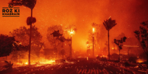 California wildfires, animal welfare, evacuation orders, Palisades Fire, Southern California