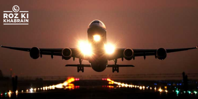 Islamabad airport, stray dog, runway obstruction, flight safety, landing delay.