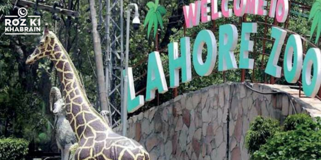 Lahore Zoo, entry fee hike, privatization, attractions, contractor.