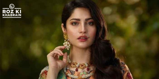 Neelam Muneer, acting comeback, wedding hiatus, Dubai wedding, fan support