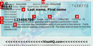 New Zealand visit visa, Pakistani citizens, financial proof, visa processing time, required documents.