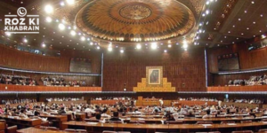 Senate, salaries and allowances, parliamentary autonomy, Diyat bill, financial matters