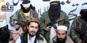 TTP, Pakistan military, business interests, airstrikes, violence