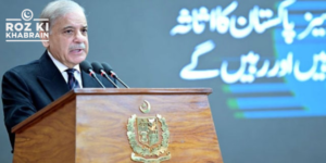 PM Shehbaz Sharif, Green Channel, overseas Pakistanis, remittances, national development