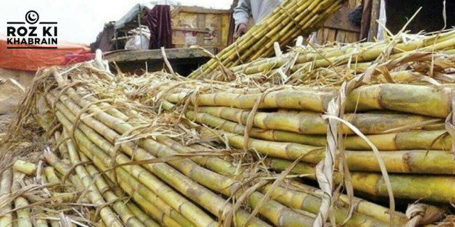 Cane growers, fair prices, sugarcane farmers, demand, rates